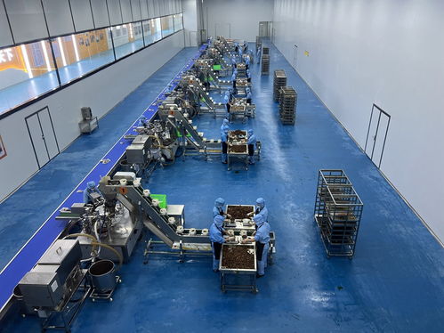 實地觀摩見證陜南綠色轉型發(fā)展